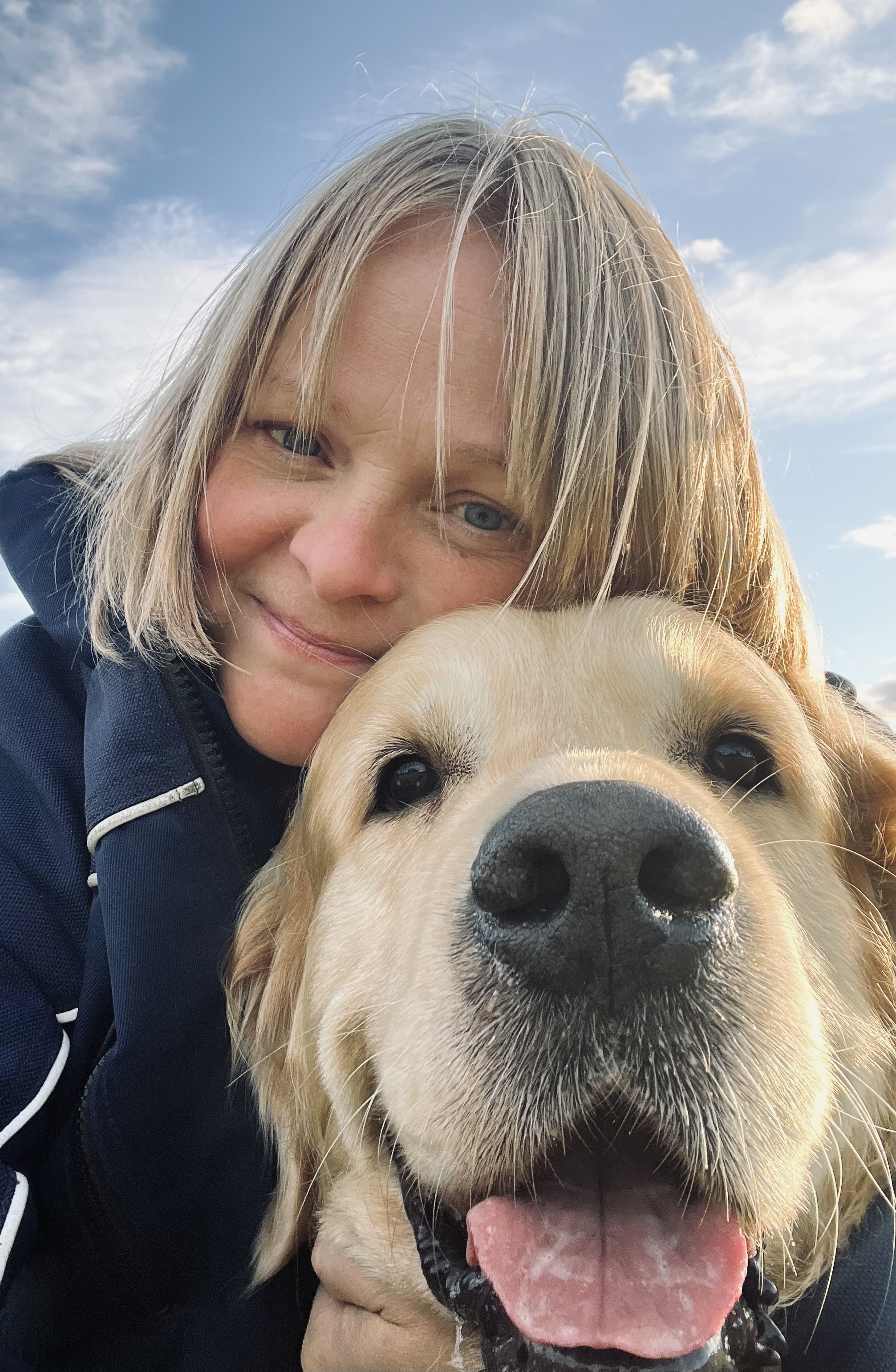 Veterinärtjänster för nötkreatur på Bältaregården